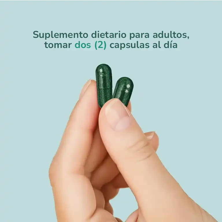 Santo Remedio Articulaciones X 60 Caps