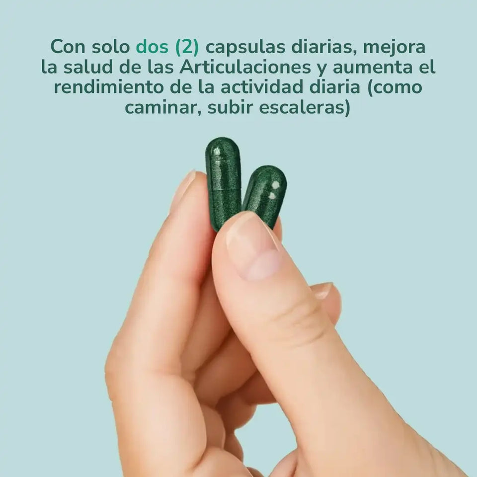 Santo Remedio Articulaciones X 60 Caps