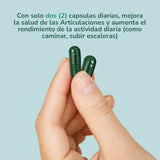 Santo Remedio Articulaciones X 60 Caps