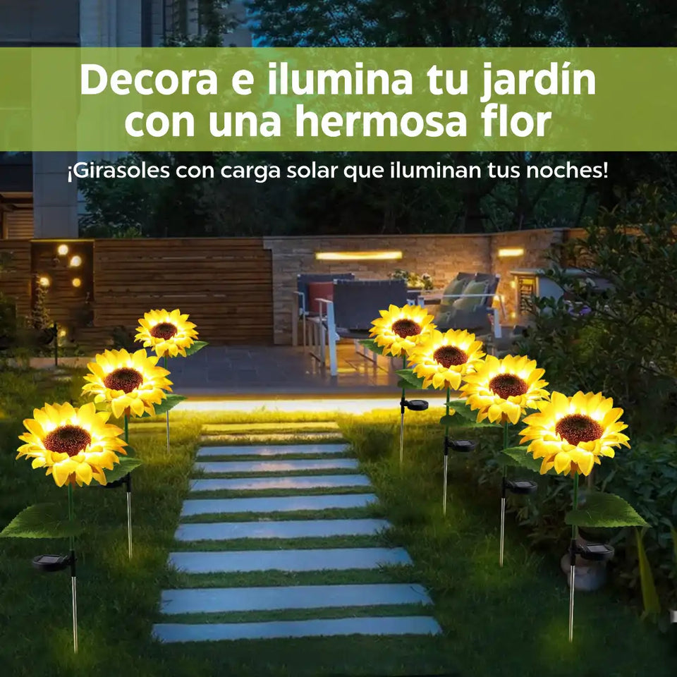 Girasoles Mágicos