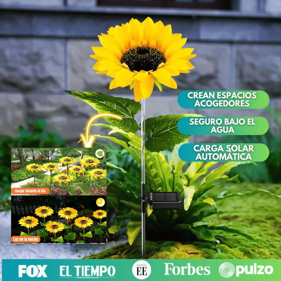 Girasoles Mágicos